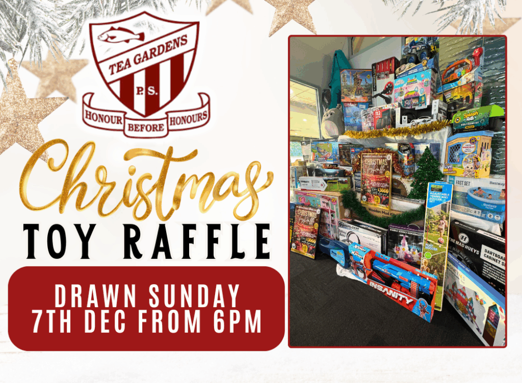 Christmas Toy Raffle – Hawks Nest Golf Club